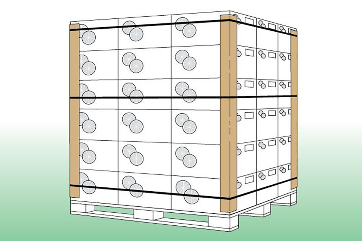 Protector de Perfil de cartão